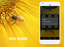 Bee Sounds Free screenshot 0