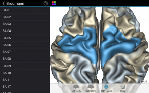 Brain Tutor 3D - Descargar APK para Android | Aptoide