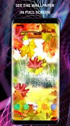 Autumn wallpapers 4K for phone screenshot 2