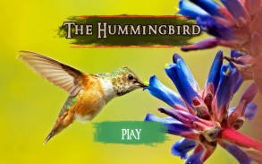 The Hummingbird screenshot 23