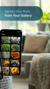Plant Care - AI Identifier screenshot 10