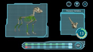 Osteology in Dogs (Free) screenshot 3