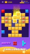 Block Mania - Blast Puzzle screenshot 1