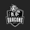 Black Dragons - Baixar APK para Android | Aptoide