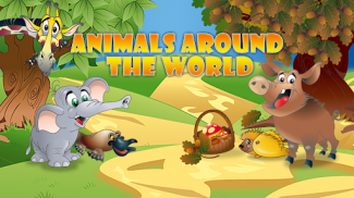 Animals Around the World Free screenshot 12