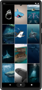 Shark HD Wallpapers screenshot 1
