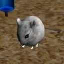 Hamster3D