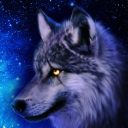 Free Wolf Wallpaper HD