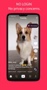 TikLoader - Download no watermark video for TikTok screenshot 3