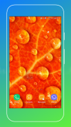 Orange Wallpaper screenshot 5