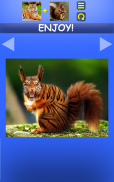 Mix Aminals. Animal morphing screenshot 1