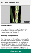 Rice Doctor Tagalog screenshot 1