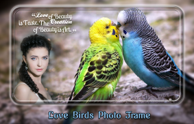 Love Birds Photo Frames screenshot 2