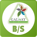 Glaze Galway Icon