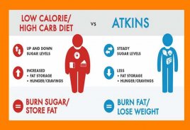 Atkins Diet Plan & FOOD LIST. screenshot 0