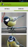 Die Vogel App! screenshot 4