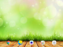 Summer Video Live Wallpaper screenshot 11