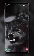 Wolf Wallpaper screenshot 6