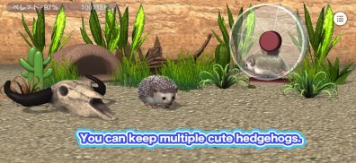 My Hedgehog screenshot 7