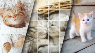 Cute Kitten Puzzle Kit & Wallpapers screenshot 3