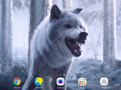 Wolf Video Live Wallpaper screenshot 9