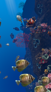 Ocean Aquarium screenshot 5