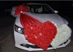 Décoration de voiture de mariage screenshot 8