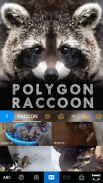 Polygonraccoon Klavye Teması screenshot 6