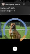 Identify Dog Breeds screenshot 2