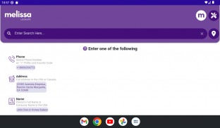 Melissa Lookups screenshot 8