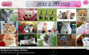 Puzzles of Kittens Free screenshot 9