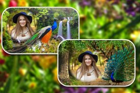 Peacock Photo Frames screenshot 9