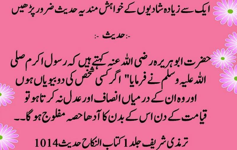 Hadees-e-Rasool in Urdu  Download APK for Android - Aptoide