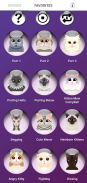 Dog & Cat Ringtones screenshot 7