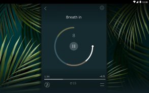 Zen: anti stress prana breathe screenshot 17