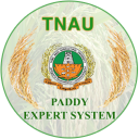 Paddy Expert System Icon