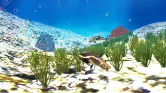 The Cobia screenshot 18