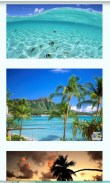 Hawaii Images Wallpapers screenshot 4