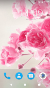 Pink Rose HD Wallpapers screenshot 1