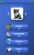 Finde2 - Ein beliebtes kostenloses Geduldsspiel screenshot 16