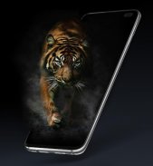 Wallpapers, Backgrounds & Lockscreen - 3D Effect screenshot 8