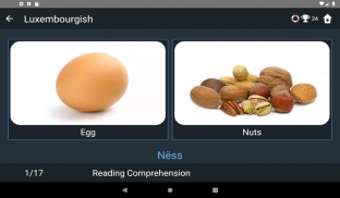 Luxembourgish Language Tests screenshot 20