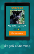 Угадай животное - QUIZ зоопарк screenshot 5