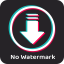 No Watermark Video Downloader