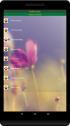 Vastu eBook screenshot 9