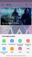 Dj Lily Alan Walker - Mp3 Offline screenshot 7