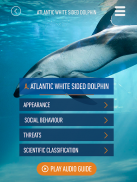 Whales of Iceland Audio Guide! screenshot 9