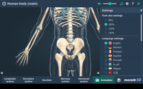 Menselijk lichaam 3D screenshot 13