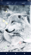 Night Wolf Live Wallpaper screenshot 4