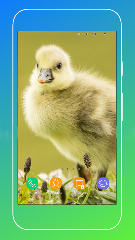 Paper Duck APK for Android Download